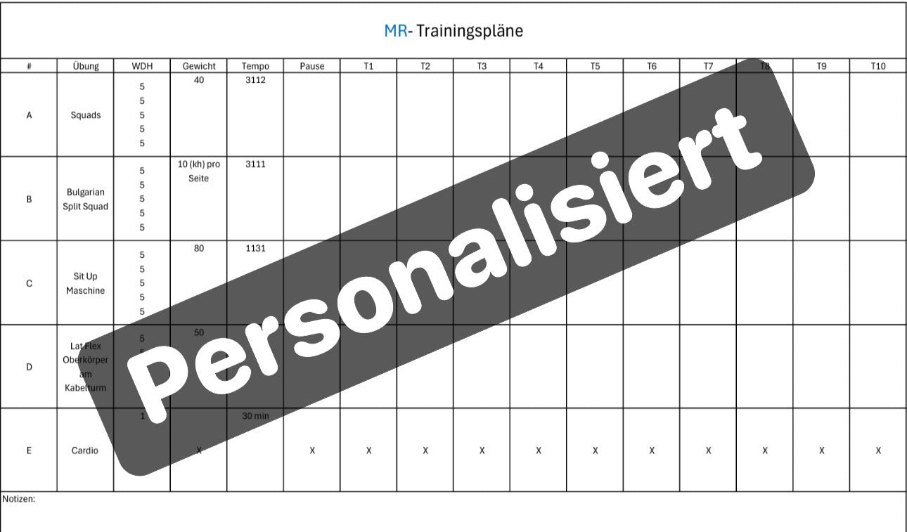 Trainingsplan Krafttraining Premium